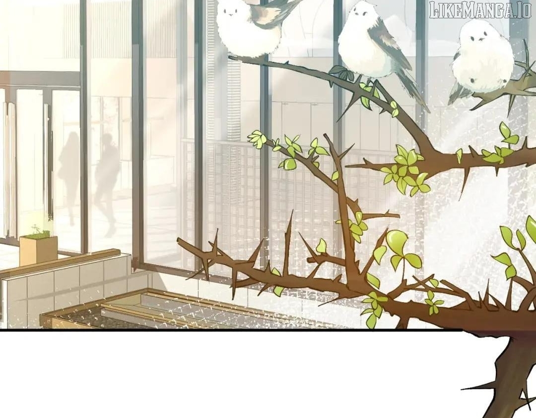 Everyone's Darling Chapter 171 - page 40